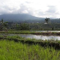 Photo de Bali - Jatiluwih